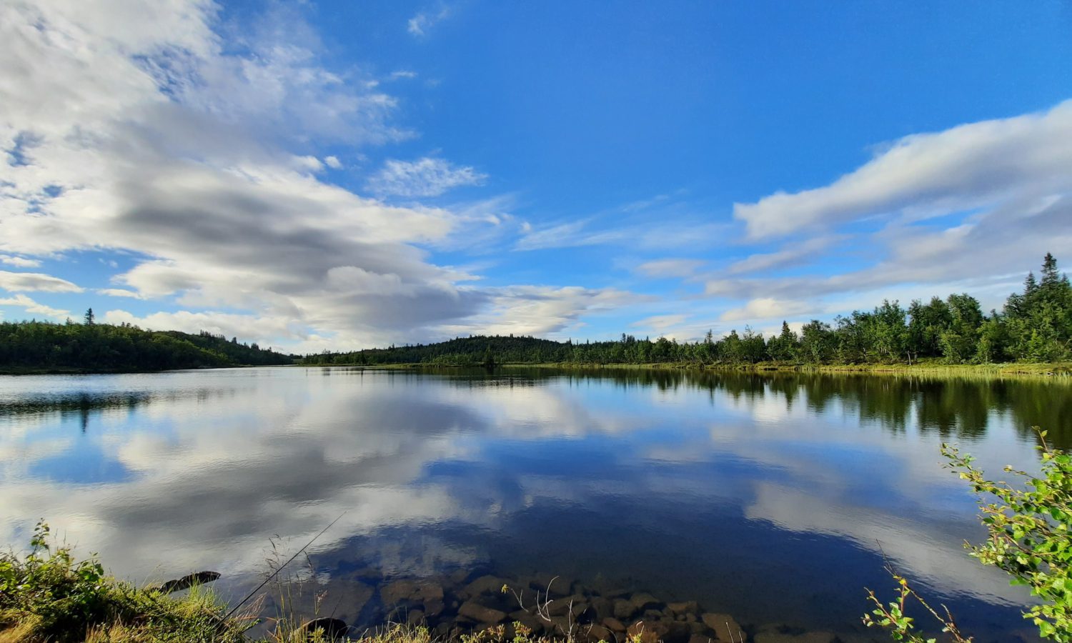 Vann ved Lyserstølen i Nesbyen