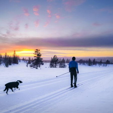 Langrenn Nesfjellet