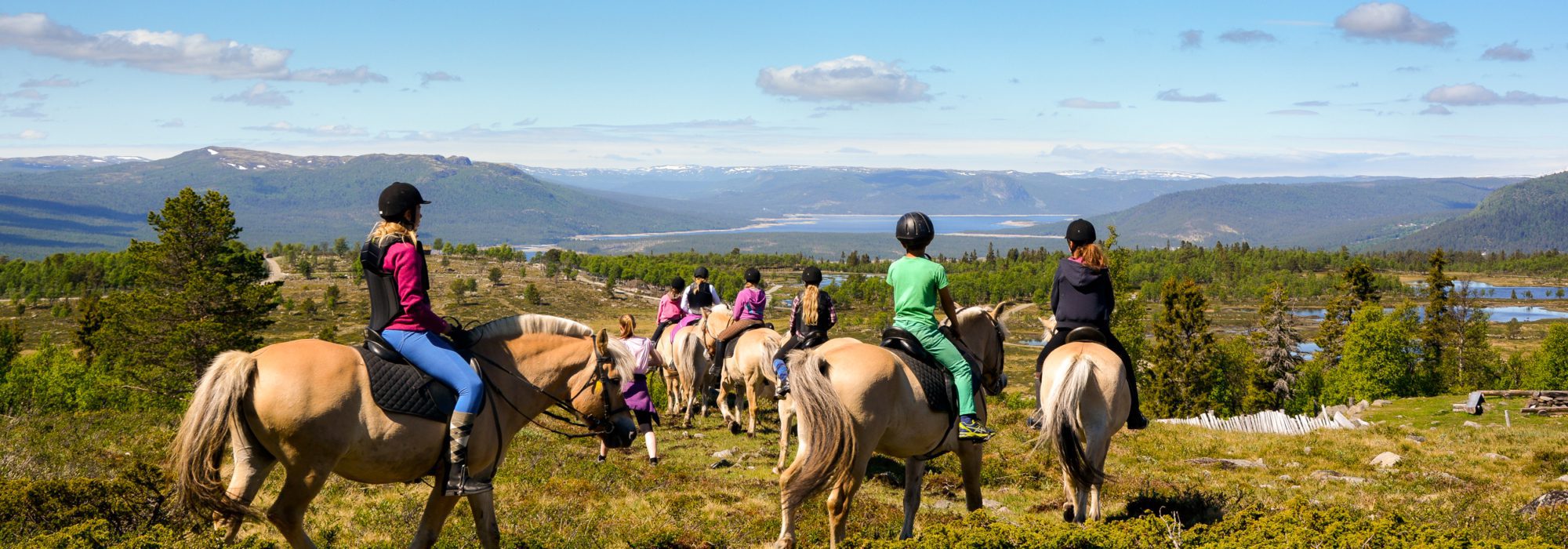 Bilde av gruppe på hestetur i fjellet