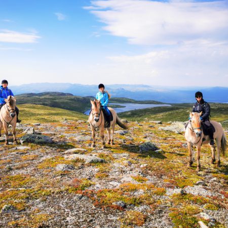 Bilde av tre jenter på hest på høyfjellet