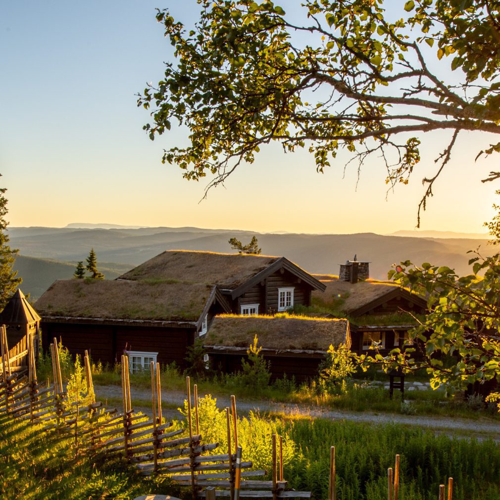 Natten Nesfjellet. Foto Tore Haraldset