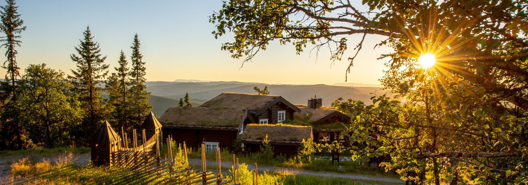 Natten Nesfjellet. Foto Tore Haraldset
