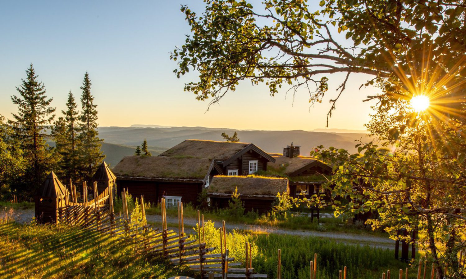 Natten Nesfjellet. Foto Tore Haraldset