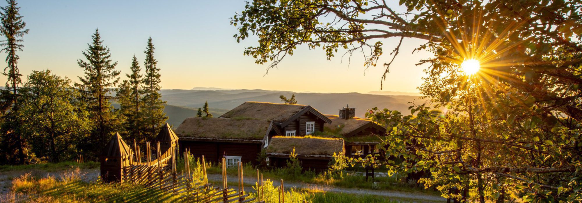 Natten Nesfjellet. Foto Tore Haraldset