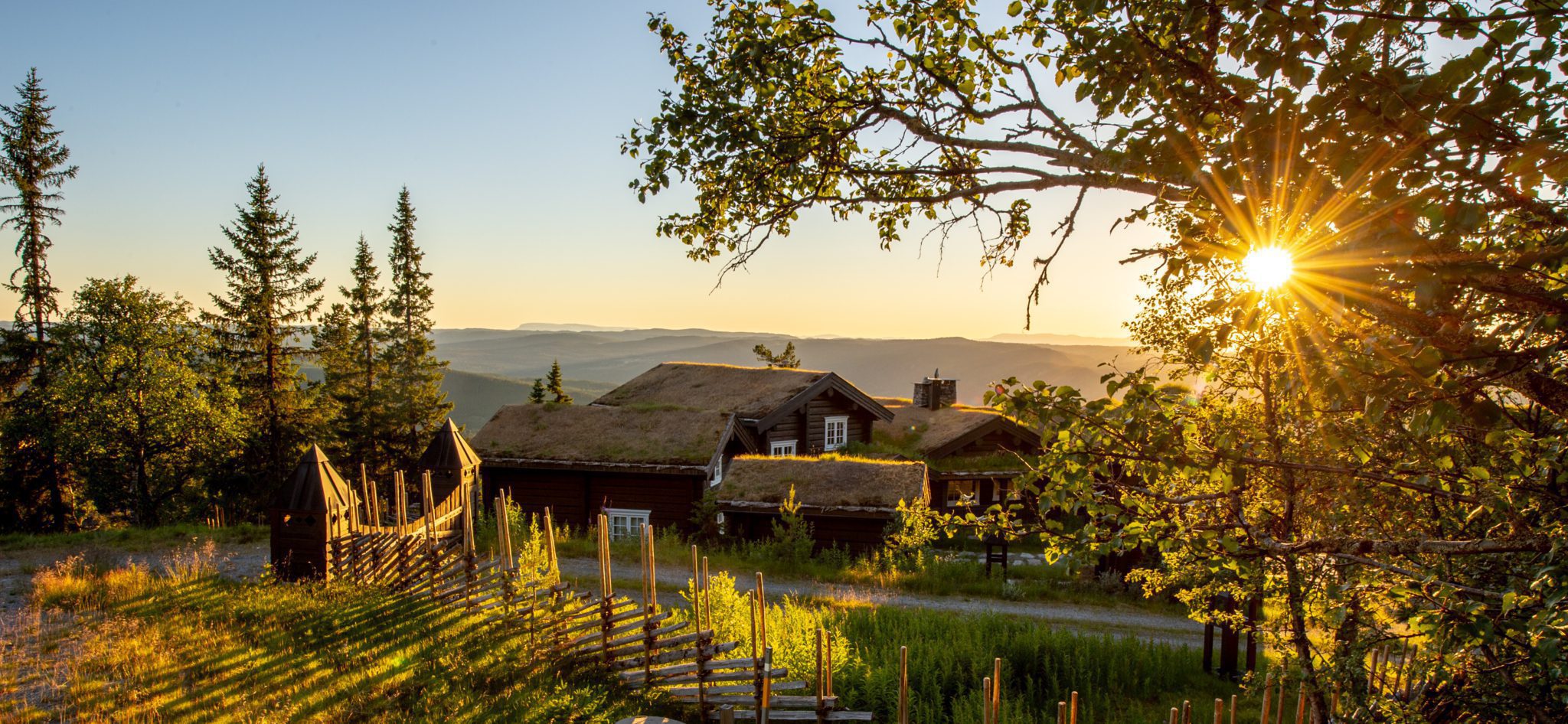 Natten Nesfjellet. Foto Tore Haraldset