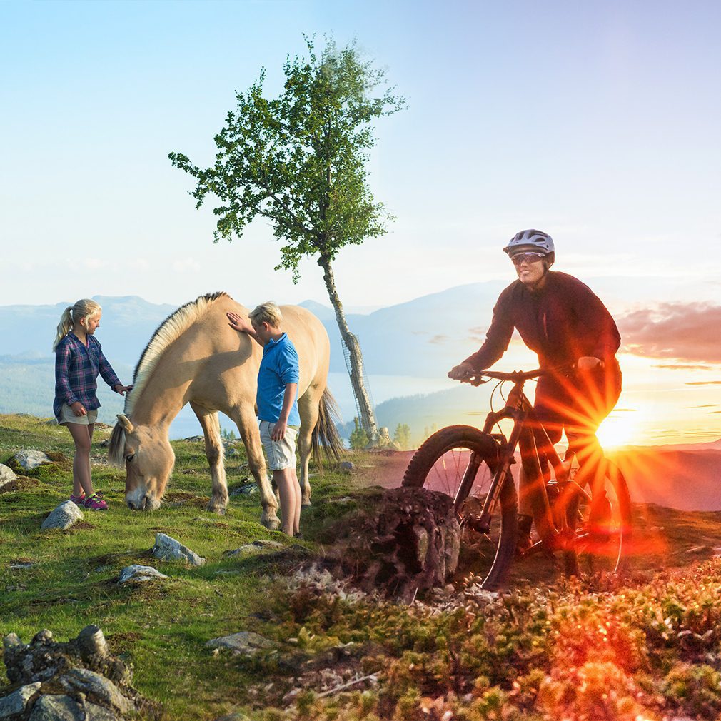 Bilde av sommer, og aktiviteter; Barn med hest og dame på sykkel.