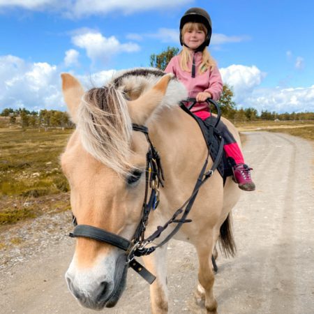 Hesteridning om høsten på Langedrag Naturpark